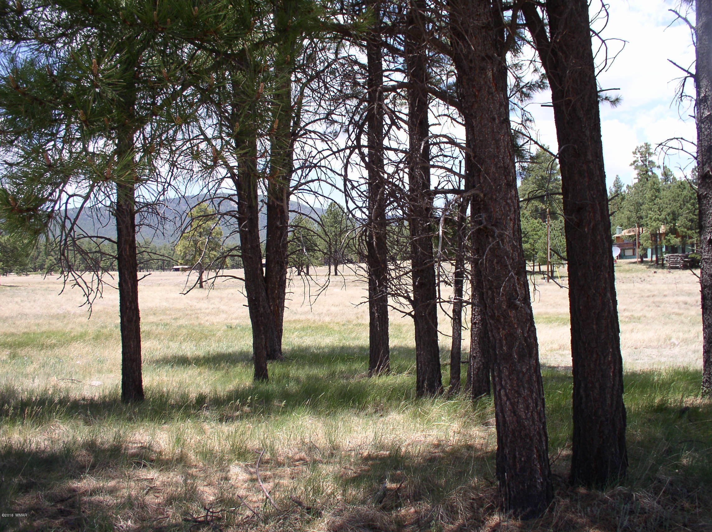 5 Q Co Road Alpine, AZ 85920 - Photo 17 of 27