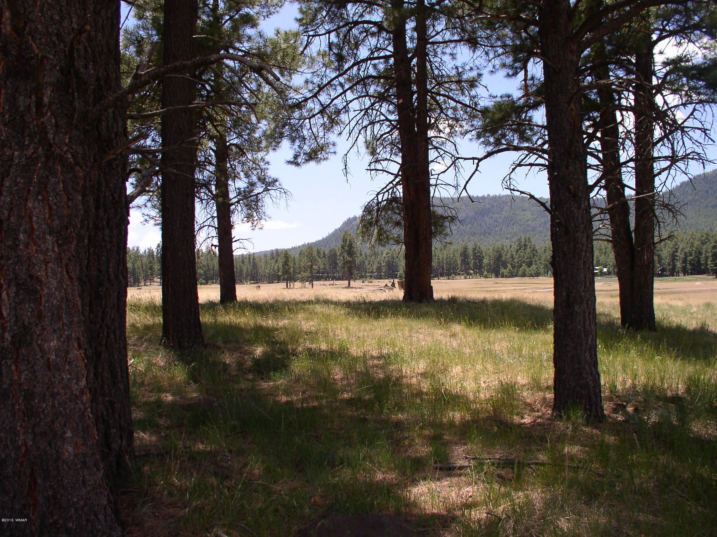 5 Q Co Road Alpine, AZ 85920 - Photo 18 of 27