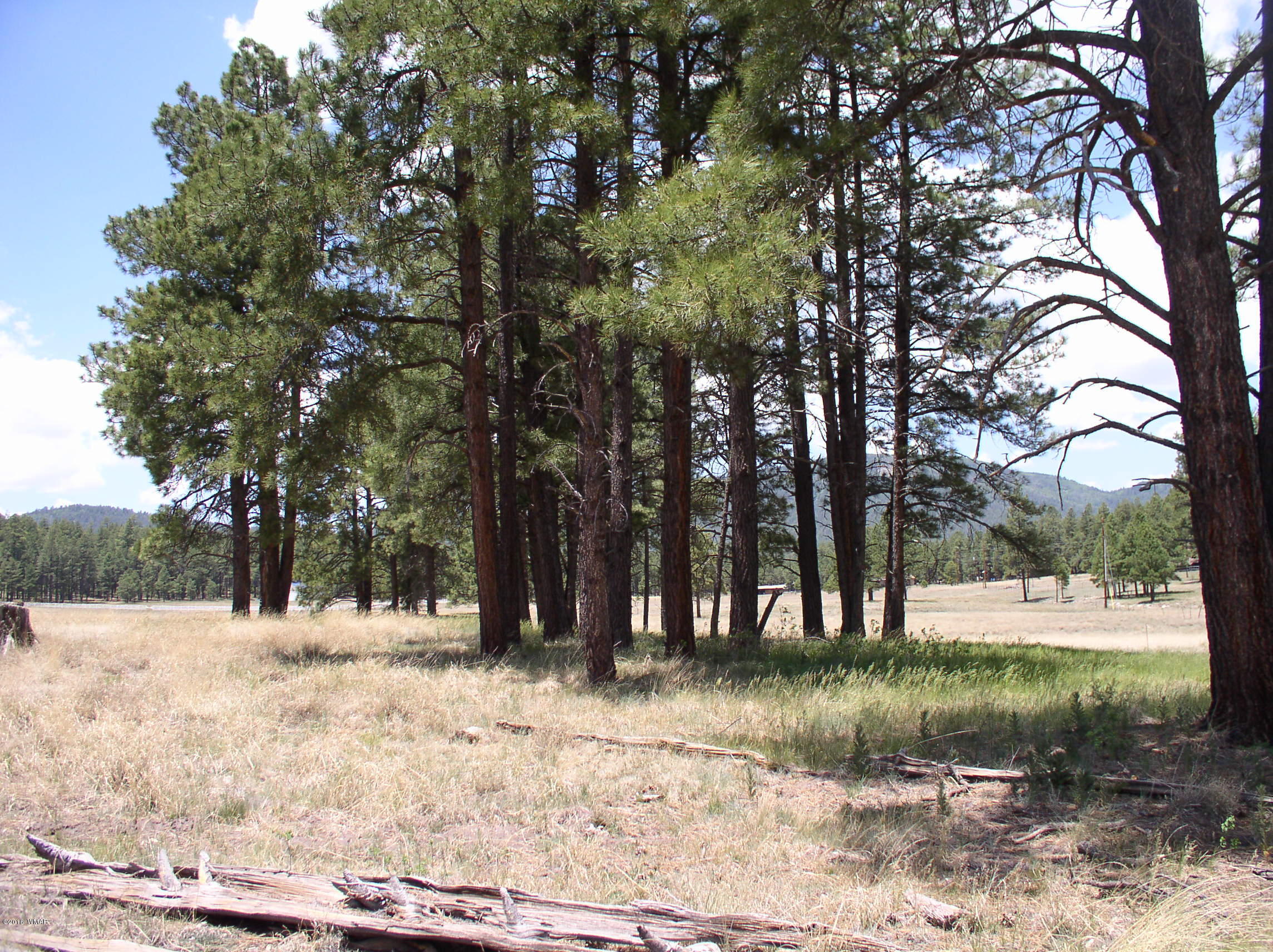 5 Q Co Road Alpine, AZ 85920 - Photo 19 of 27