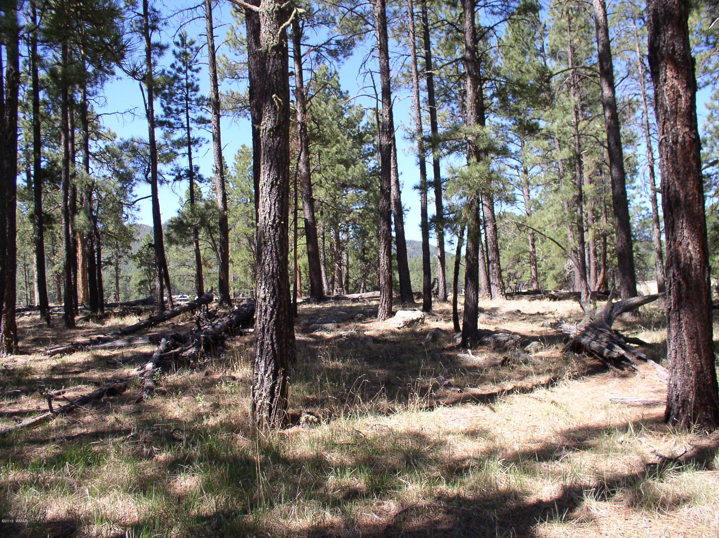 5 Q Co Road Alpine, AZ 85920 - Photo 20 of 27