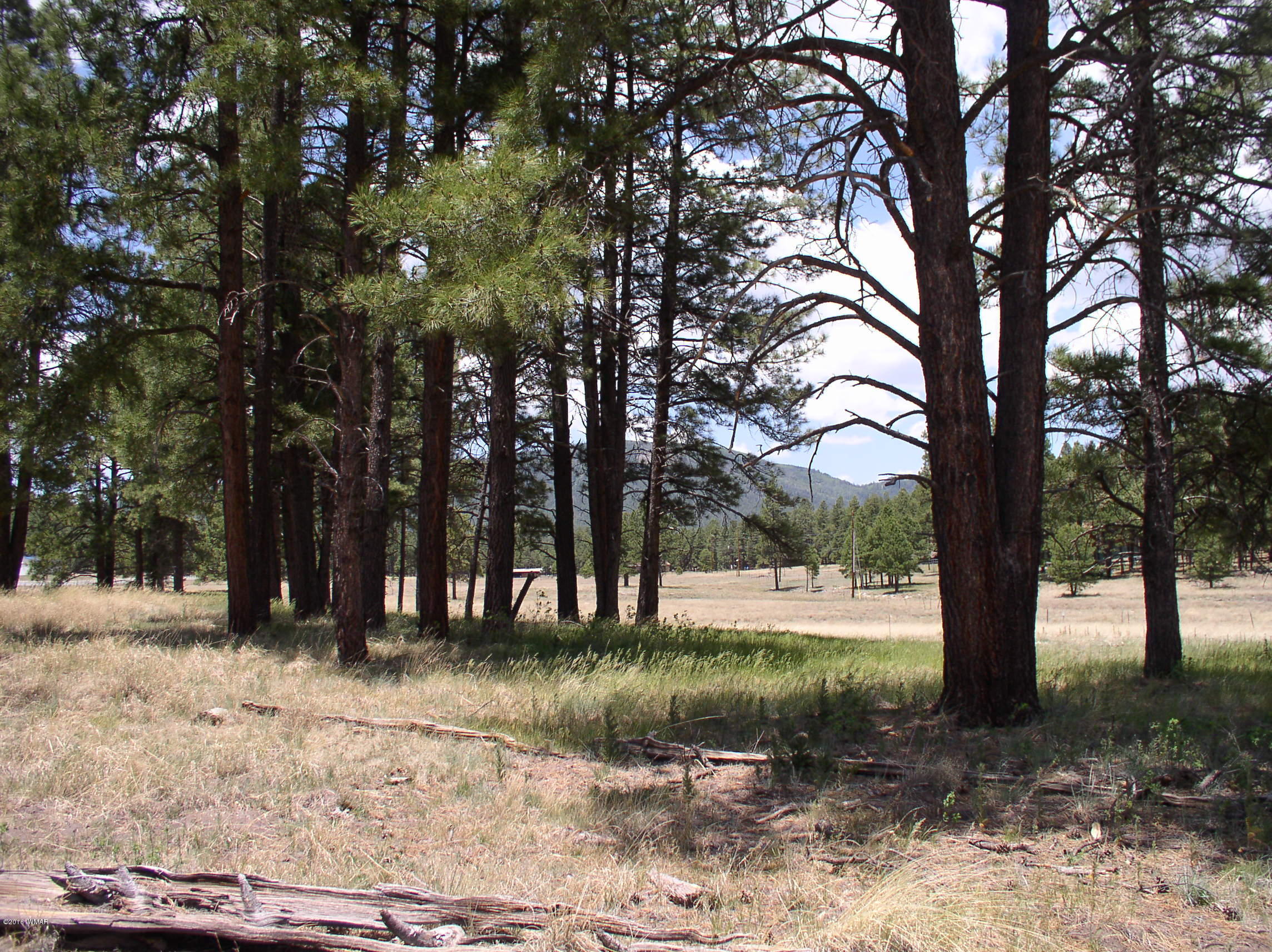5 Q Co Road Alpine, AZ 85920 - Photo 2 of 27