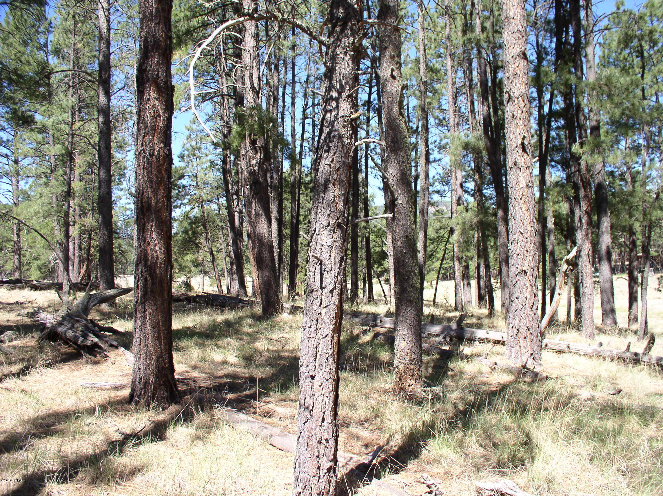5 Q Co Road Alpine, AZ 85920 - Photo 22 of 27