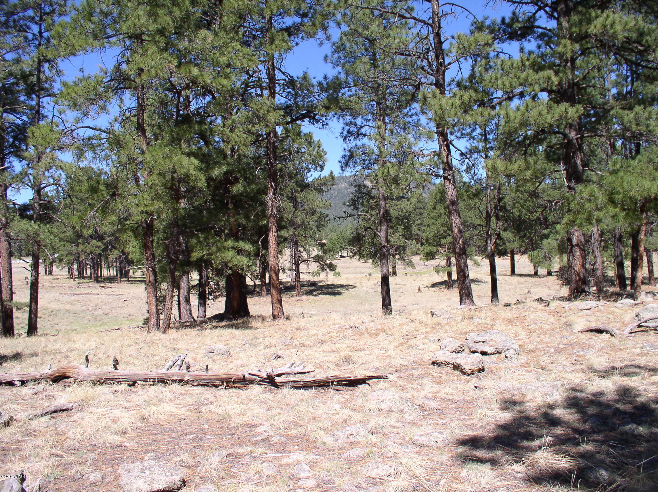 5 Q Co Road Alpine, AZ 85920 - Photo 23 of 27