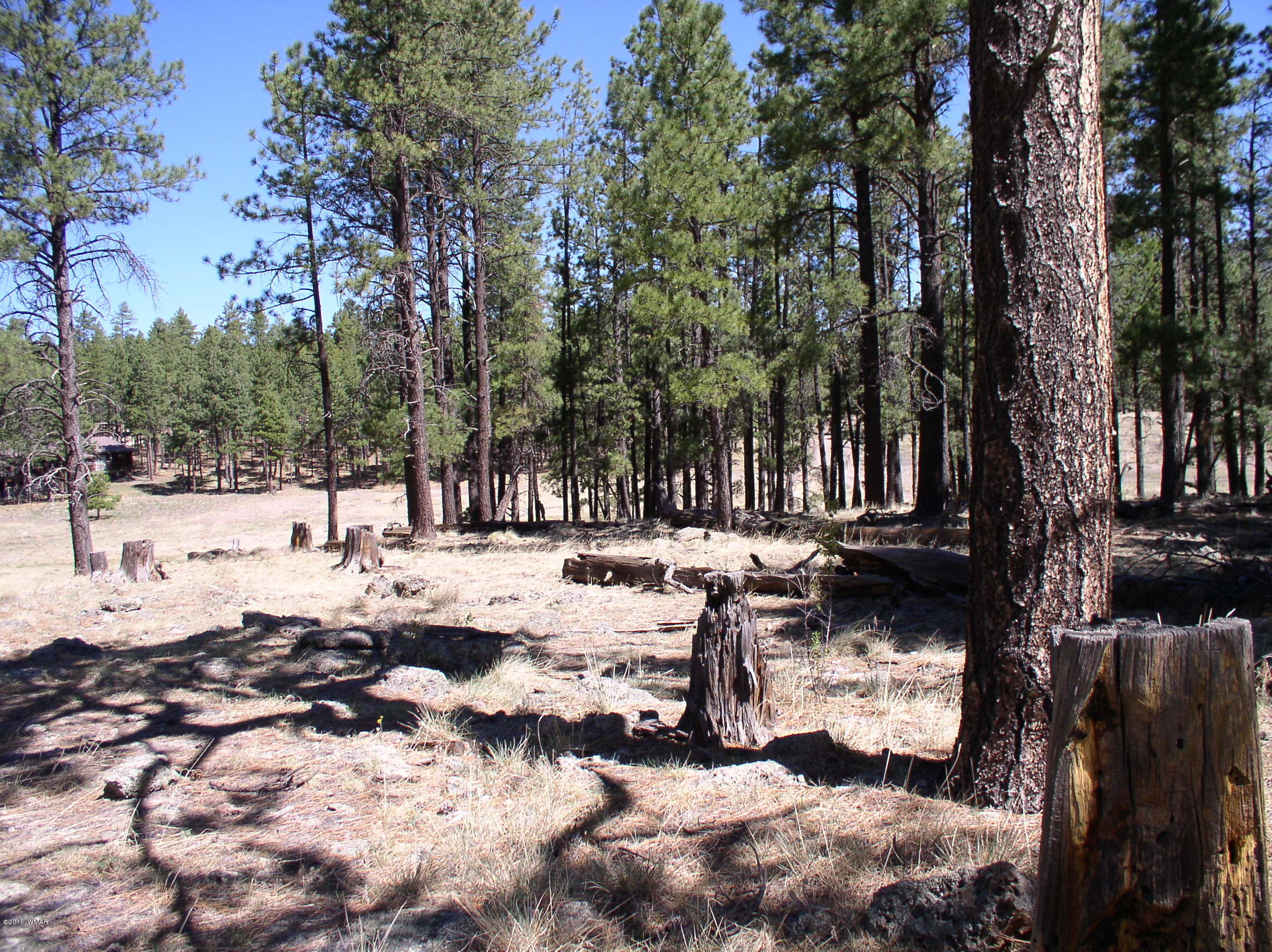 5 Q Co Road Alpine, AZ 85920 - Photo 24 of 27