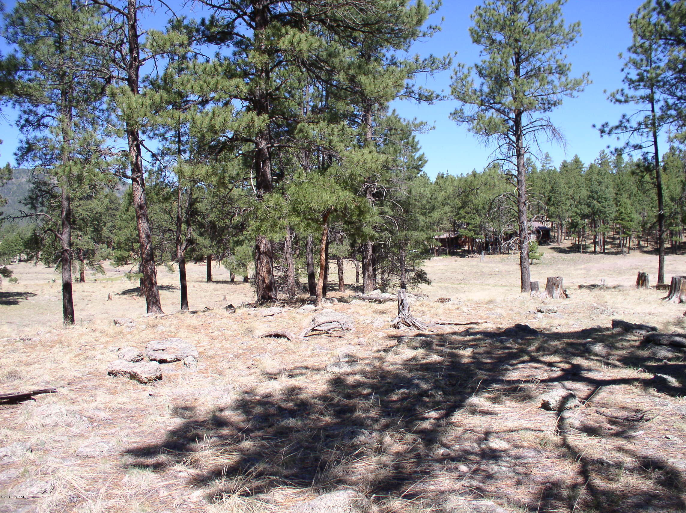 5 Q Co Road Alpine, AZ 85920 - Photo 25 of 27