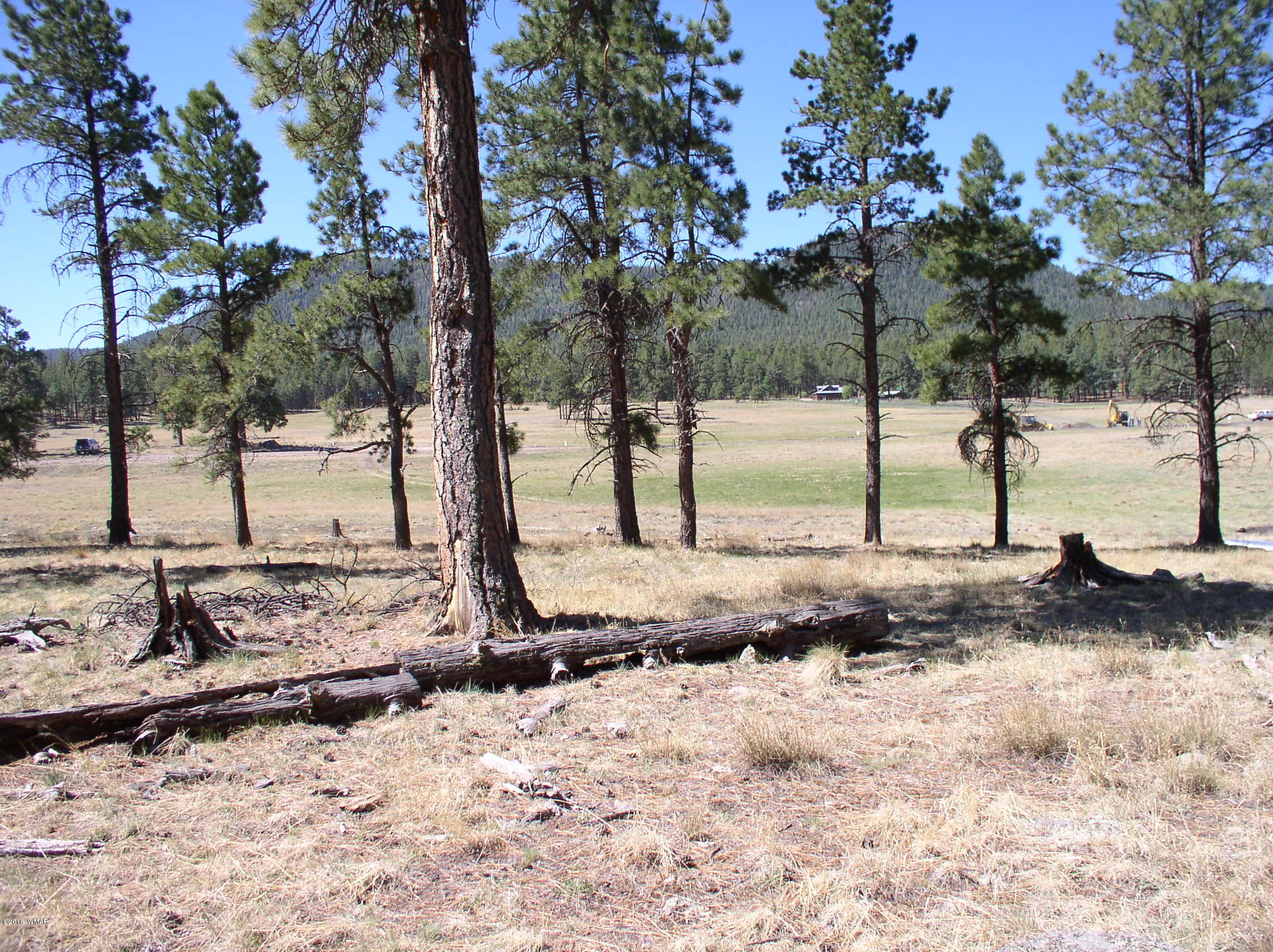 5 Q Co Road Alpine, AZ 85920 - Photo 26 of 27