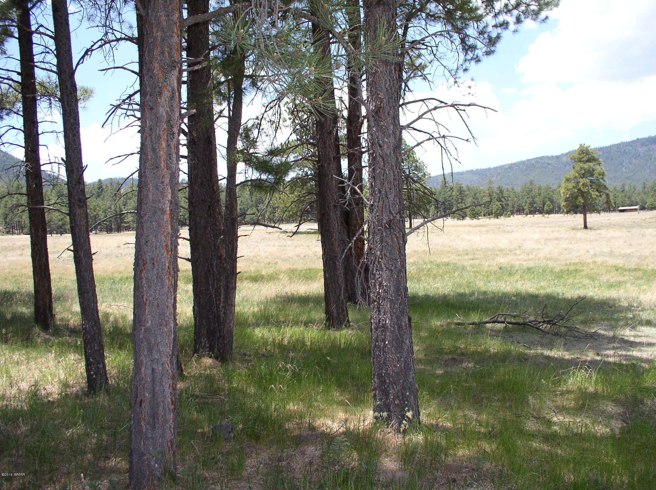 5 Q Co Road Alpine, AZ 85920 - Photo 27 of 27