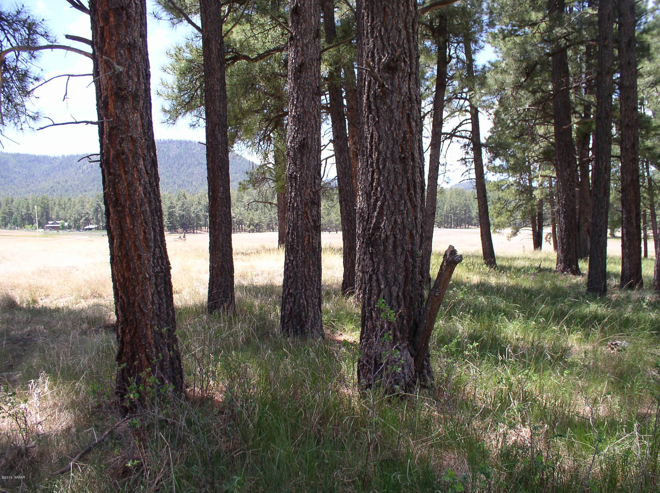 5 Q Co Road Alpine, AZ 85920 - Photo 4 of 27