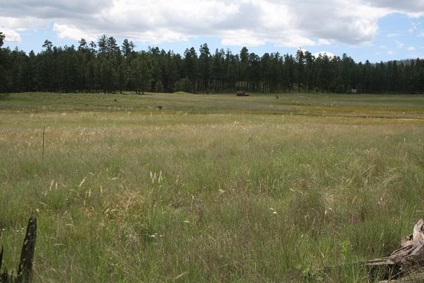 5 Q Co Road Alpine, AZ 85920 - Photo 8 of 27