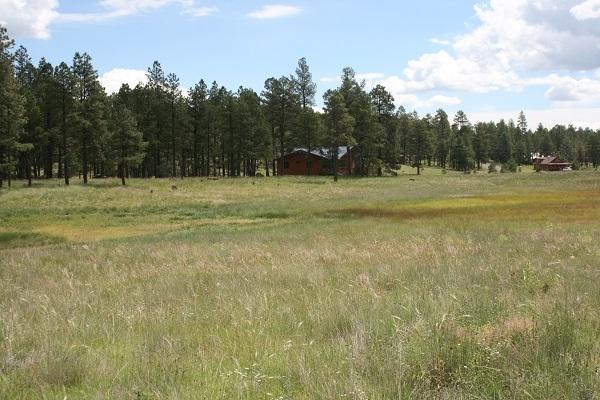 5 Q Co Road Alpine, AZ 85920 - Photo 9 of 27