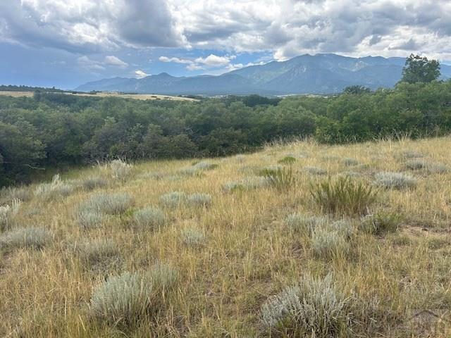 Lot 129 Pasteur Rye, CO 81069 - Photo 4 of 16