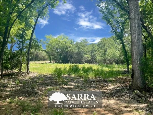 $79,900 | Lot 50 Wicklow Court, Poolville, TX 76487