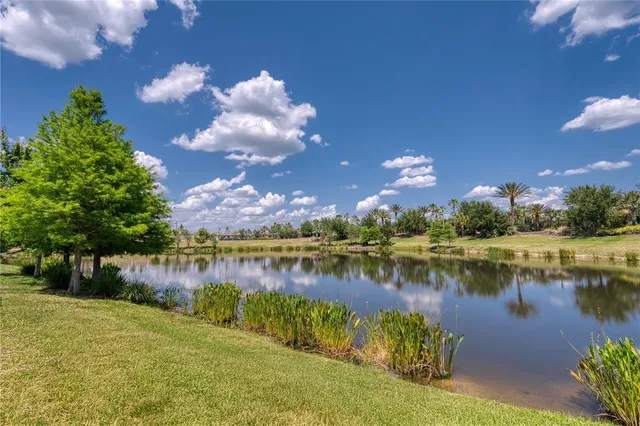 a view of a lake in between two of trees