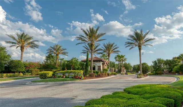 a view of a street with a cars parked and small yard