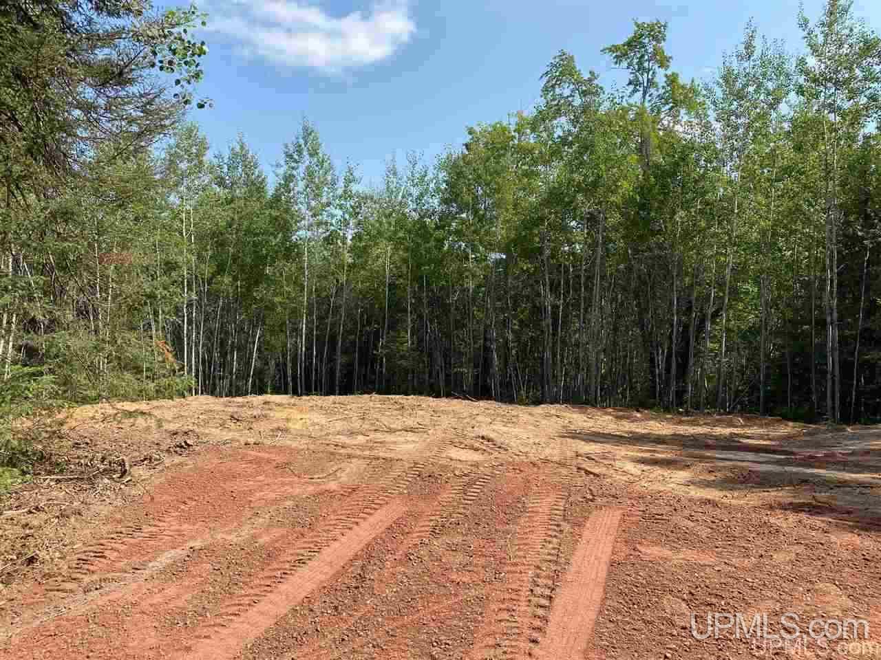 32828 Co Road Champion, MI 49814 - Photo 21 of 30