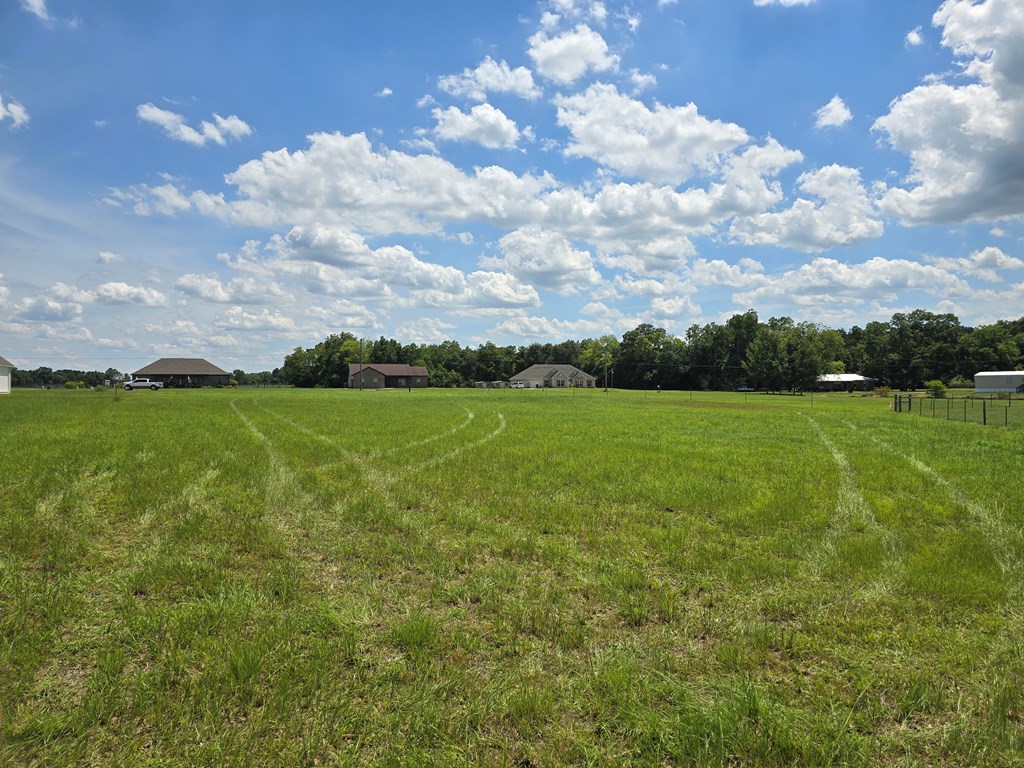 1.43-acres Sage Road Ashford, AL 36312 - Photo 5 of 9