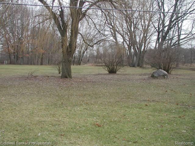 3998 Marathon Road Columbiaville, MI 48421 - Photo 5 of 11 3998 Marathon backyard.JPG