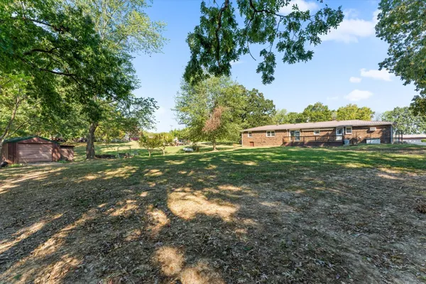 a view of a tree with a yard