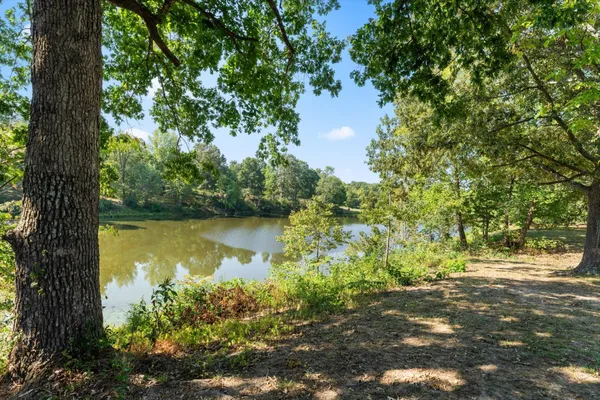 a view of lake with a tree