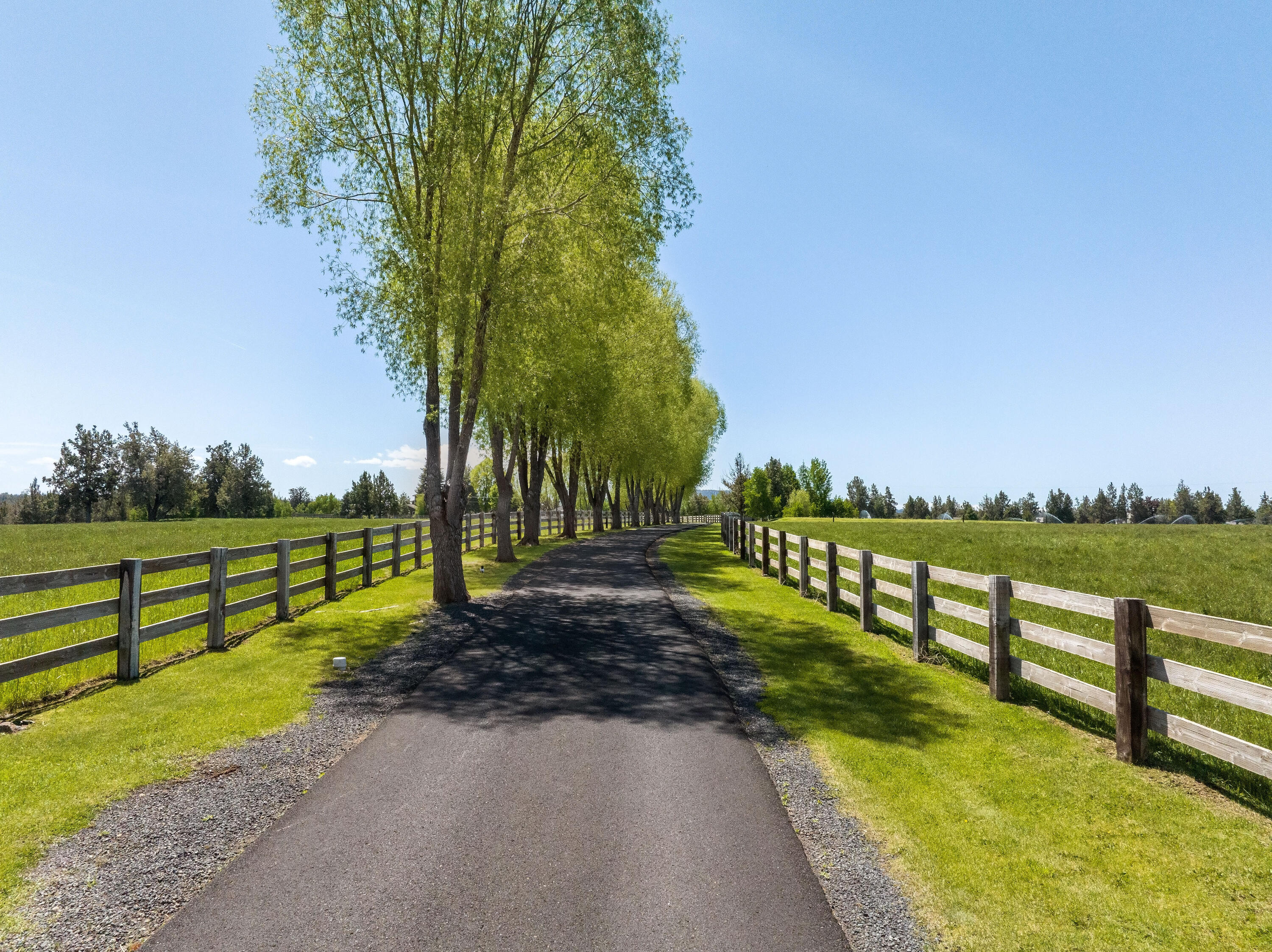 64440 Bailey Road Bend, OR 97703 - Photo 5 of 106 late Spring/early summer
