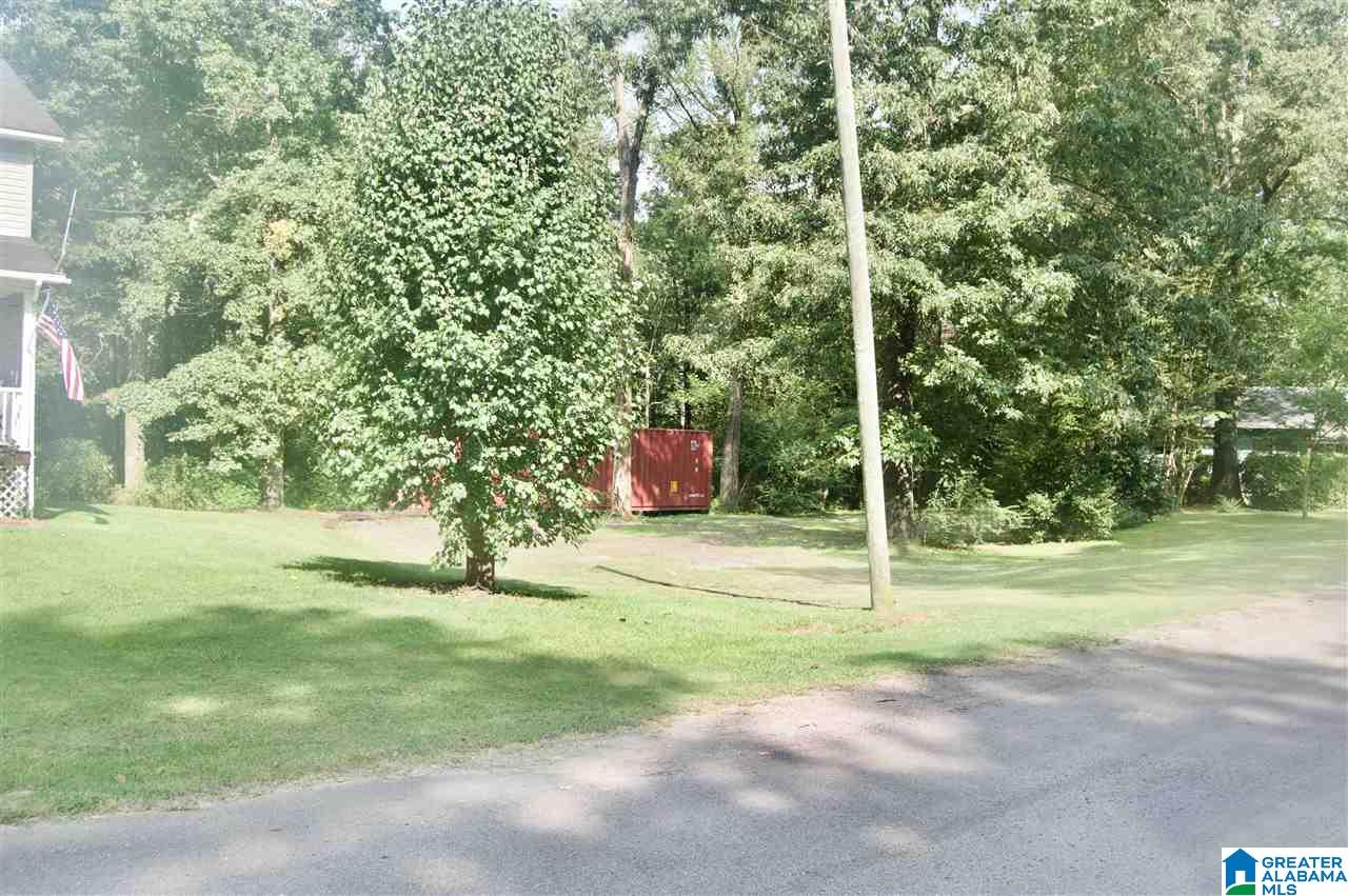 185 Scurlock Street Sumiton, AL 35148 - Photo 3 of 34