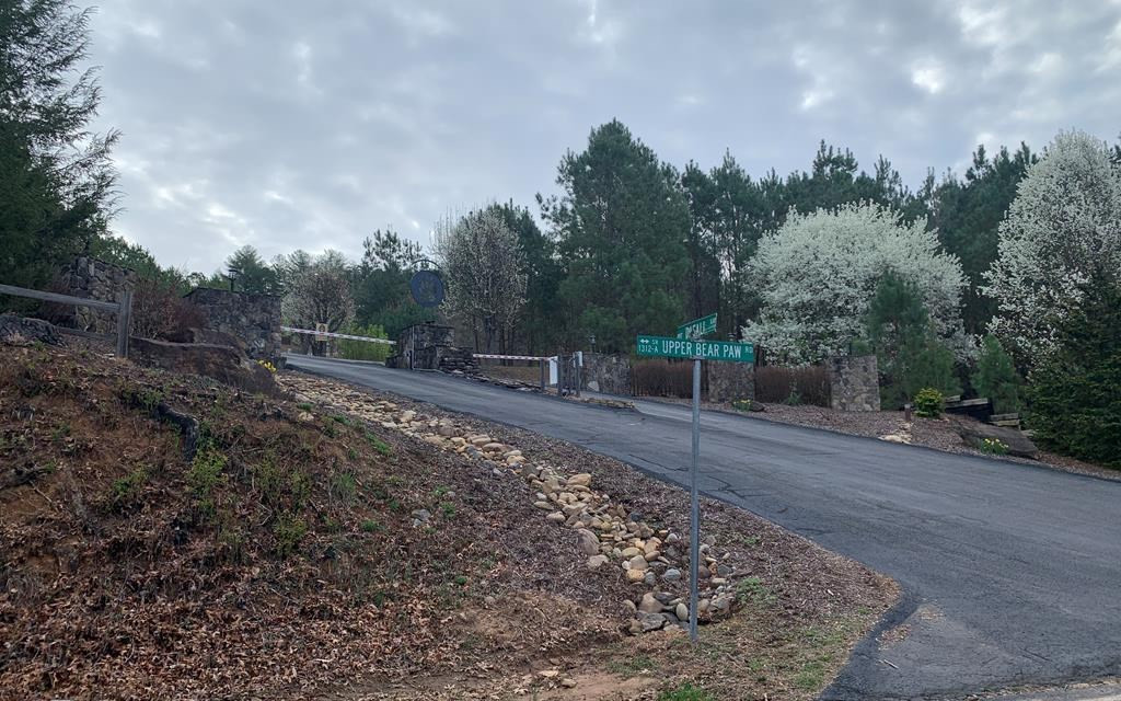 Lot 7 Upper Bear Paw Road Murphy, NC 28906 - Photo 3 of 3