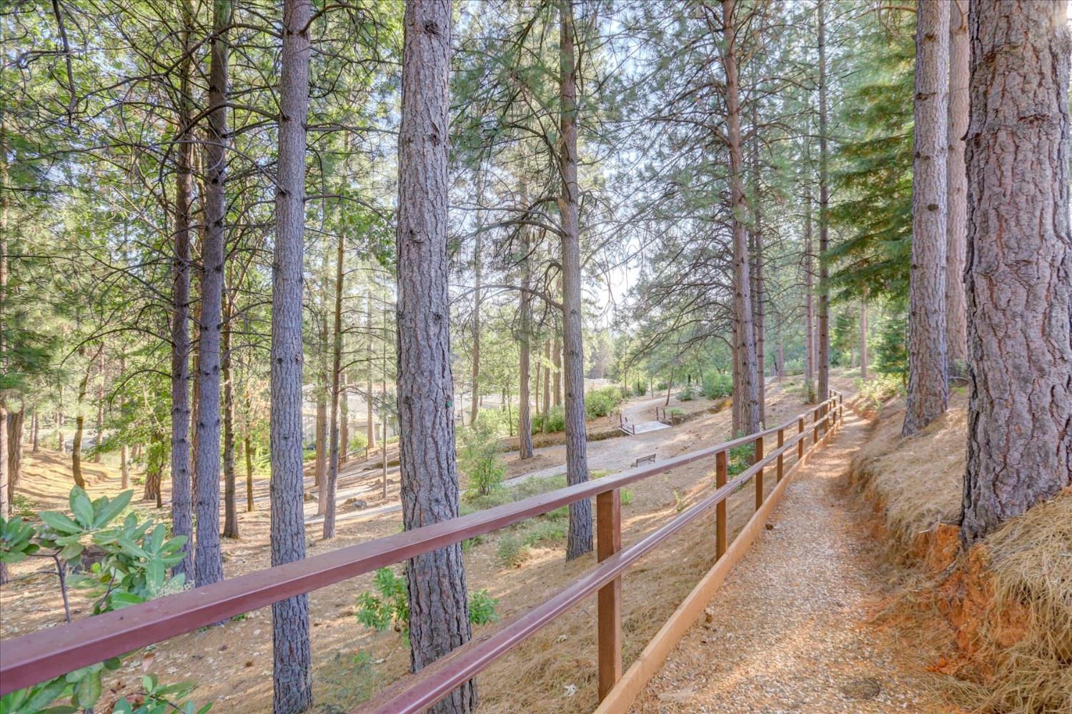 10046 Dalewood Way Grass Valley, CA 95949 - Photo 54 of 68