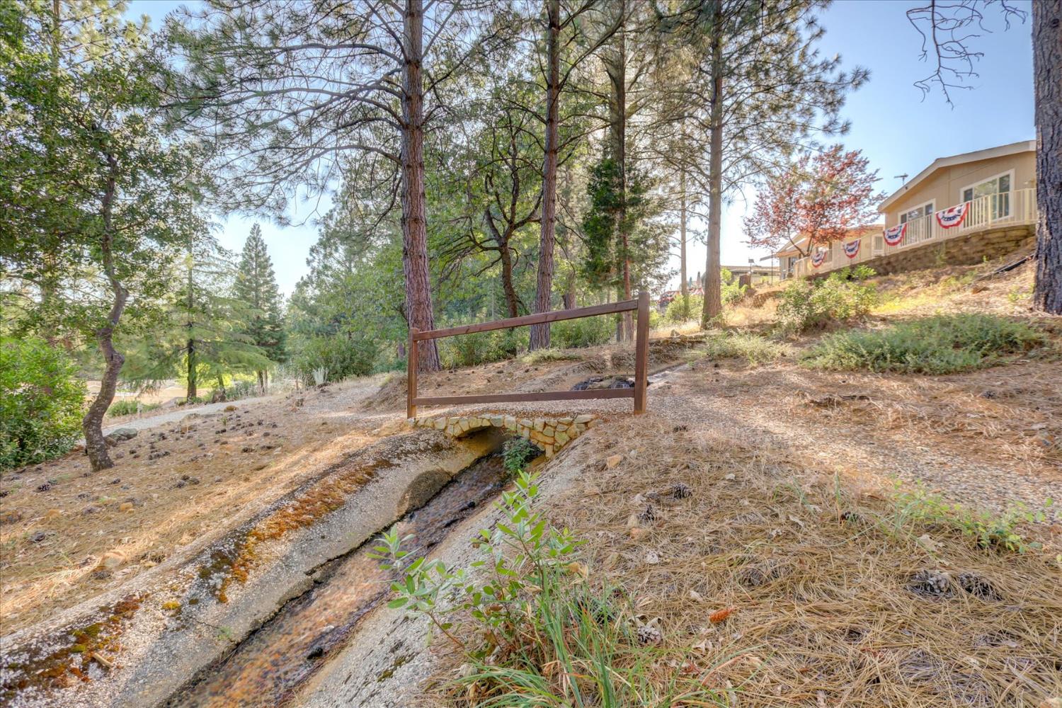 10046 Dalewood Way Grass Valley, CA 95949 - Photo 55 of 68 a view of a park with trees