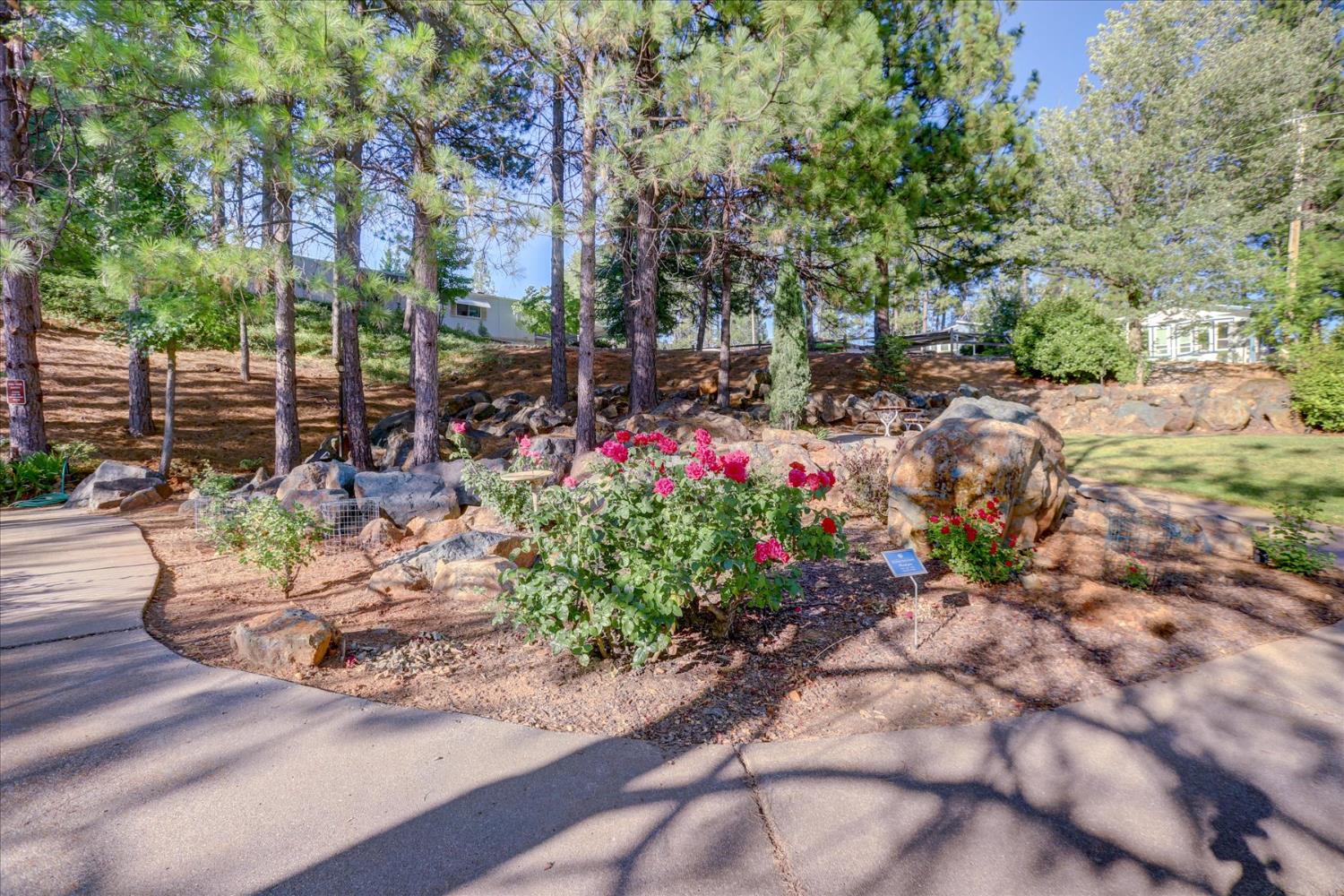 10046 Dalewood Way Grass Valley, CA 95949 - Photo 57 of 68 a view of a backyard with sitting area