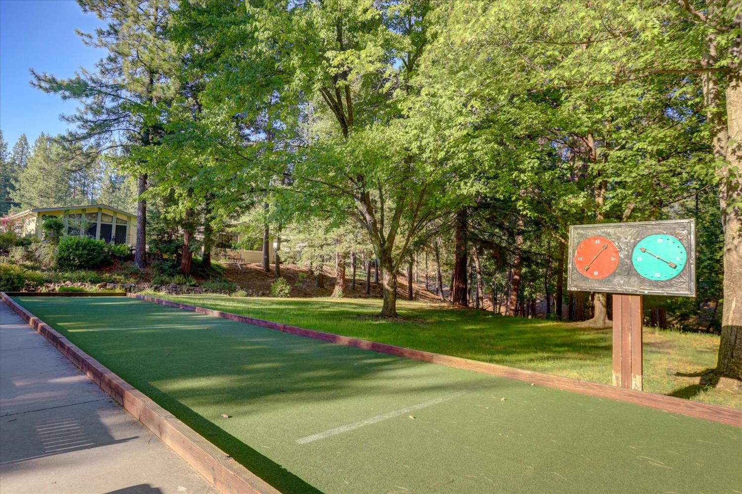 10046 Dalewood Way Grass Valley, CA 95949 - Photo 62 of 68 a view of a park with large trees
