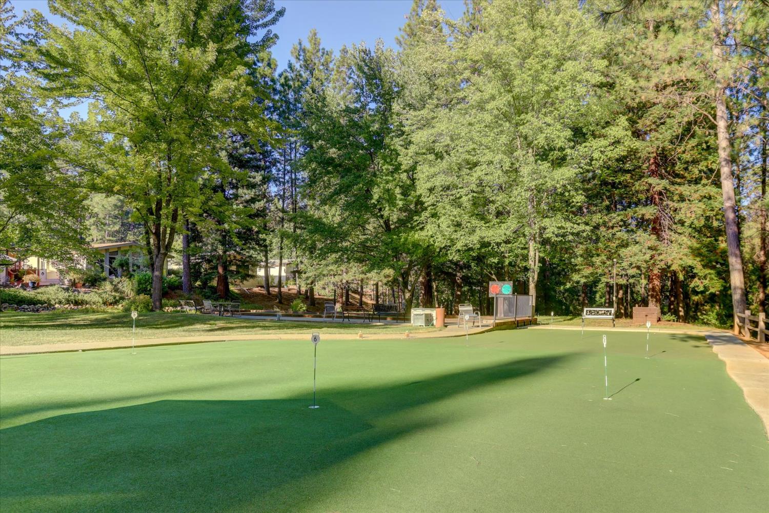 10046 Dalewood Way Grass Valley, CA 95949 - Photo 64 of 68