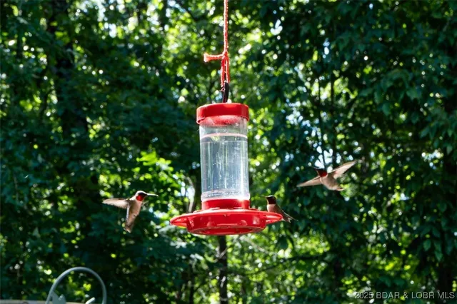 $199,990 | 31298 A Highway 135, Gravois Mills, MO 65037