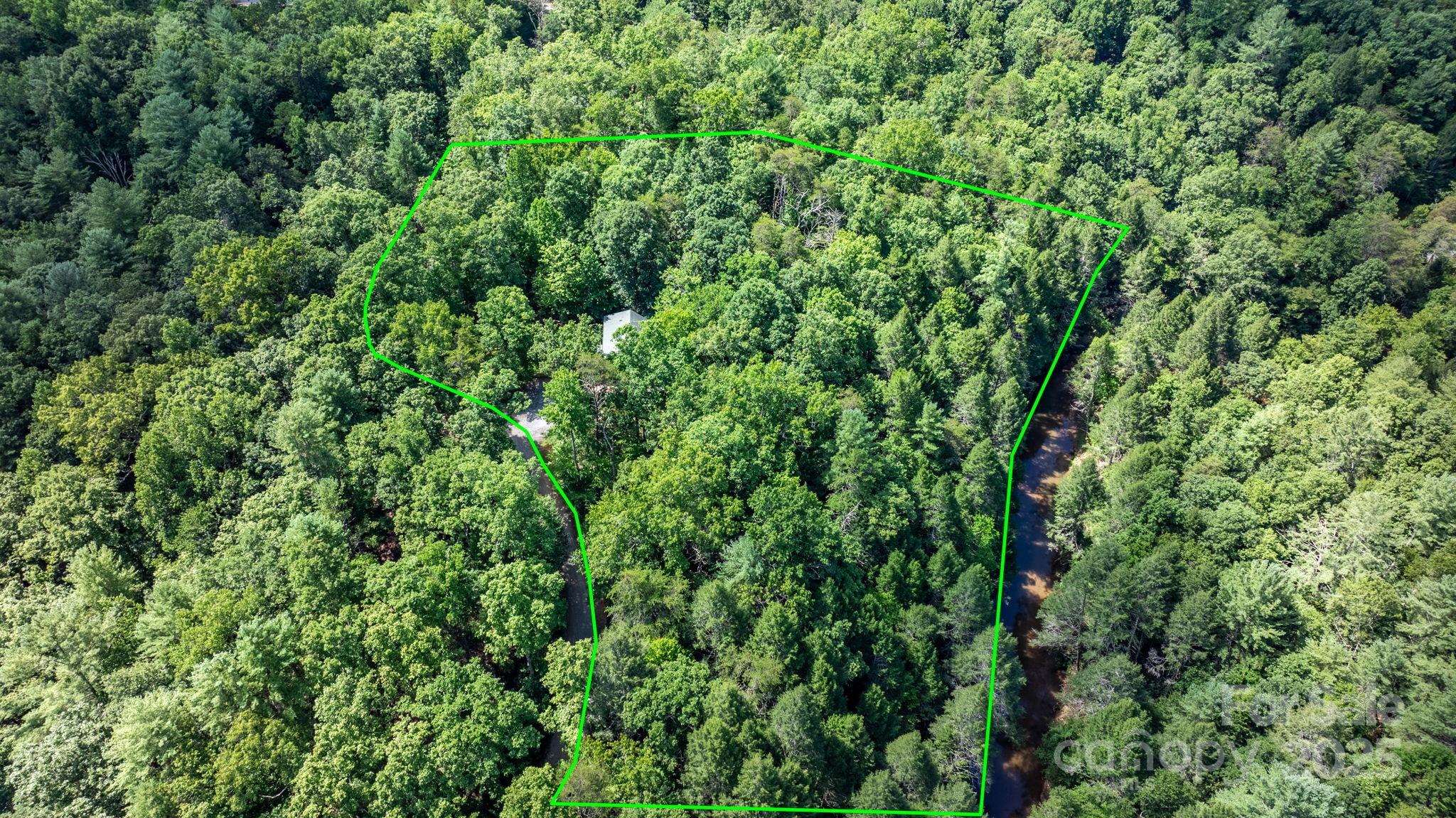 211 Granite Ridge Nebo, NC 28761 - Photo 3 of 43 a view of a lush green forest