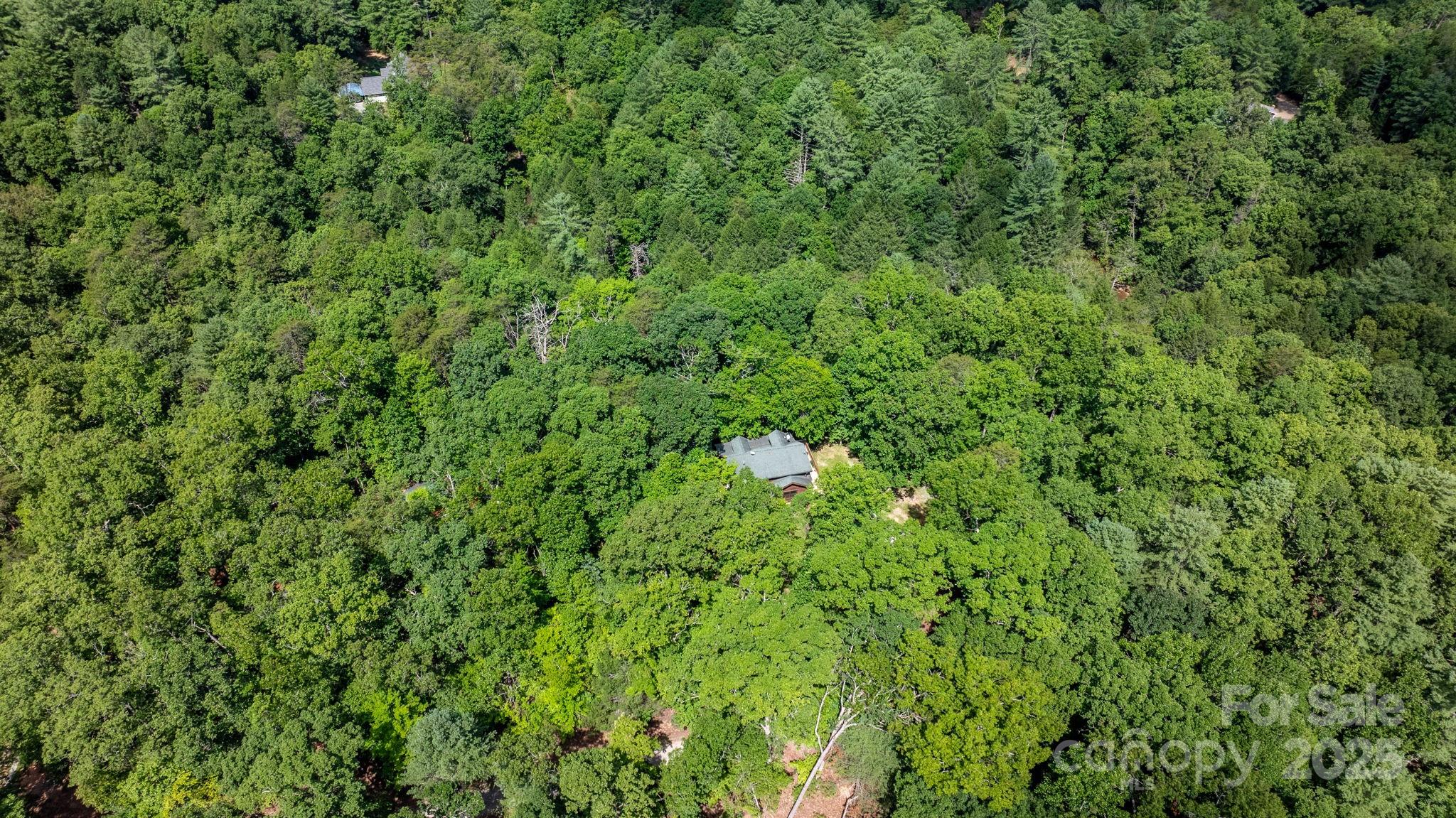 211 Granite Ridge Nebo, NC 28761 - Photo 40 of 43 a view of a lush green forest