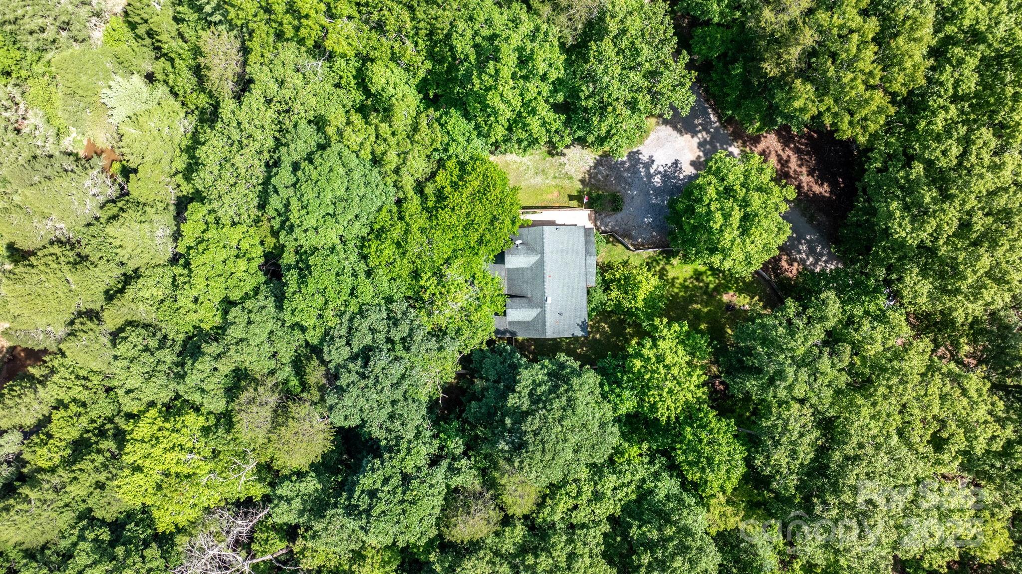 211 Granite Ridge Nebo, NC 28761 - Photo 42 of 43 a view of a plant in a garden