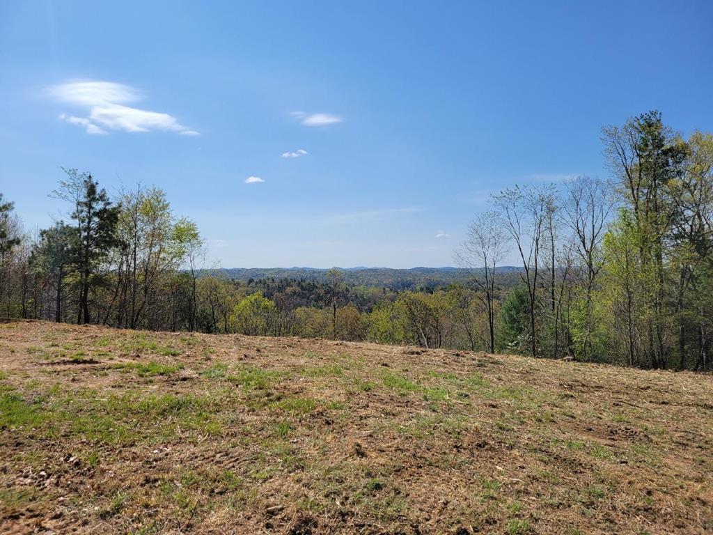 2230 Byllesby Road Ivanhoe, VA 24350 - Photo 1 of 25 Gallery Image 1