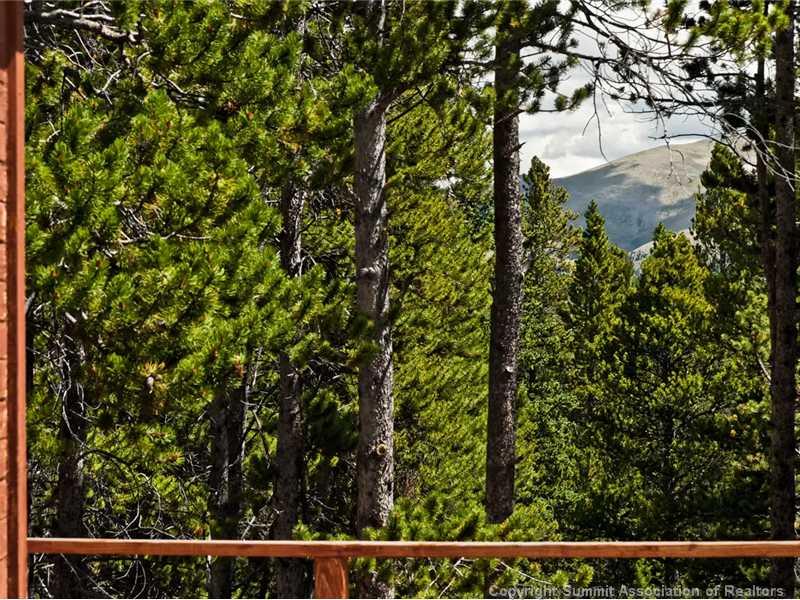95 Cottage Grove Road Fairplay, CO 80440 - Photo 8 of 14 Gallery Image 8