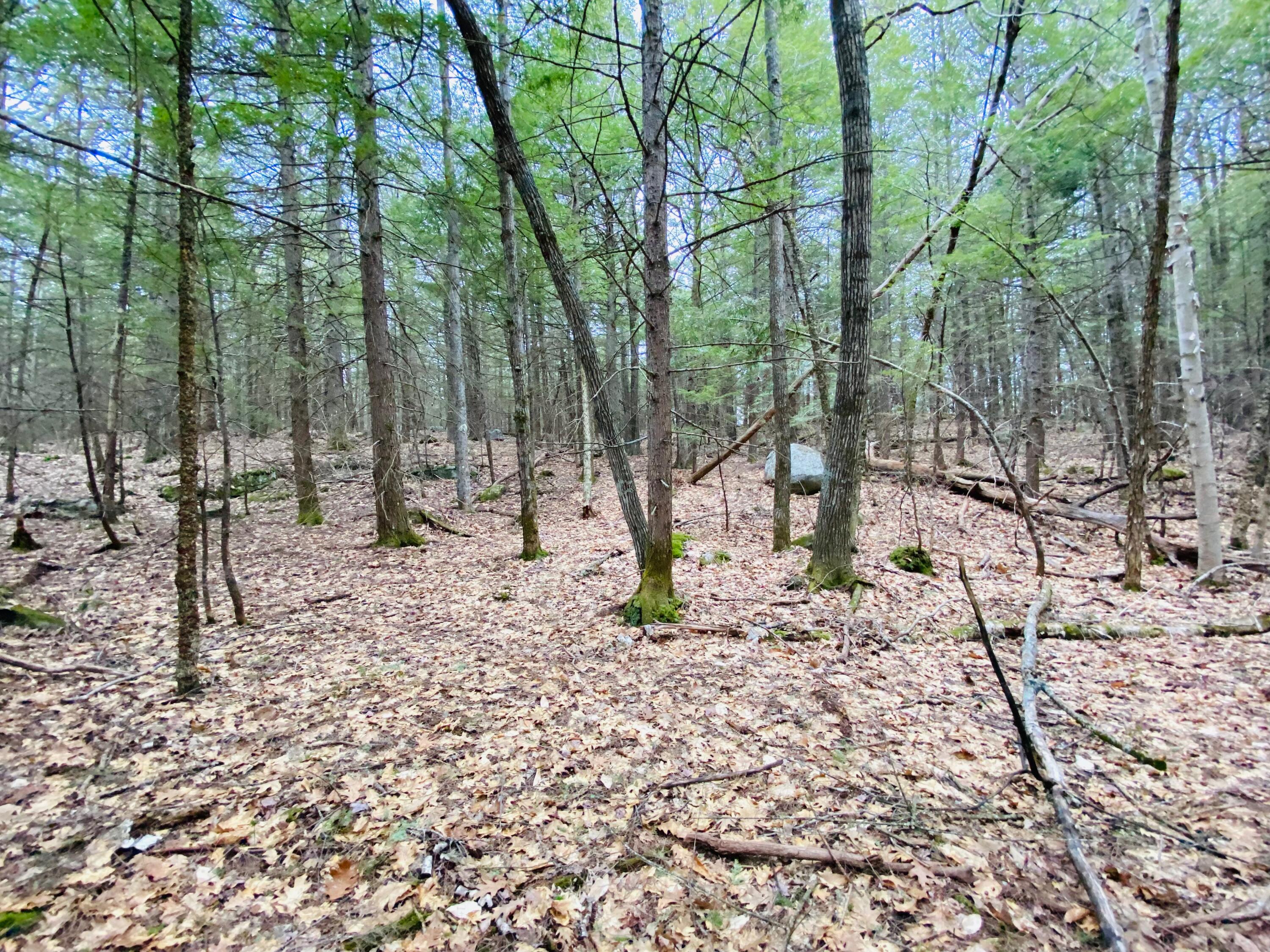45 Shore Road Kents Hill, ME 04349 - Photo 11 of 47 BUILDING LOT