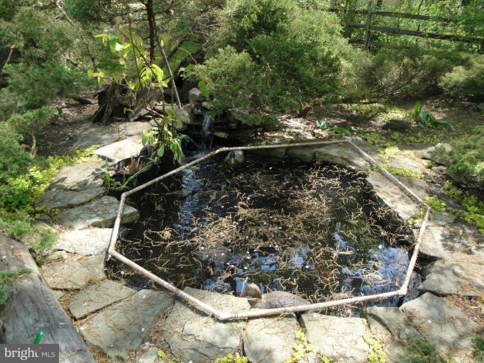 12327 Panama Road Reston, VA 20191 - Photo 21 of 29 koi pond