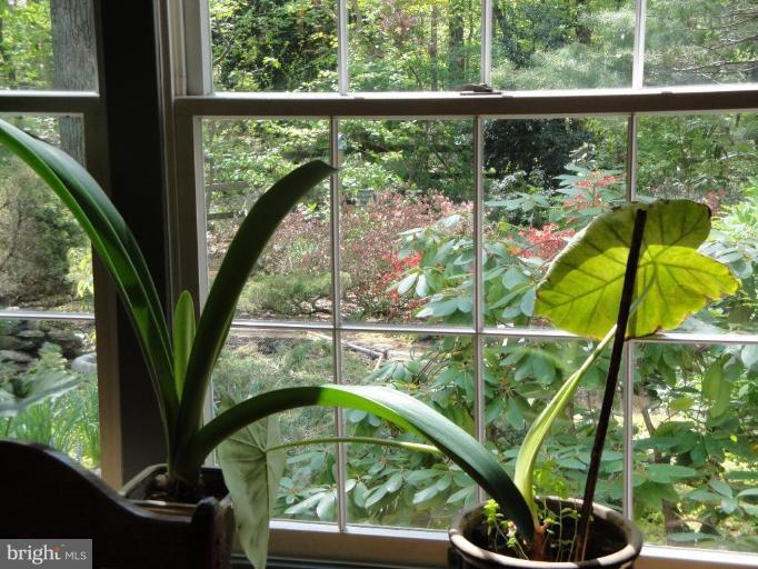 12327 Panama Road Reston, VA 20191 - Photo 24 of 29 view from kitchen window