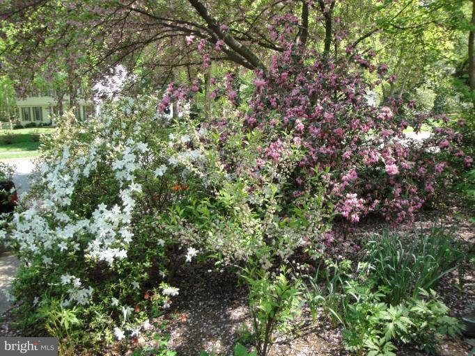 12327 Panama Road Reston, VA 20191 - Photo 26 of 29 Garden #2