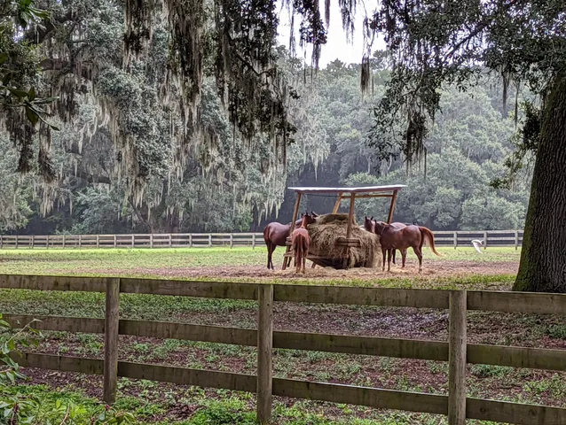 $214,000 | 21 Middleton Oaks Road, Charleston, SC 29414