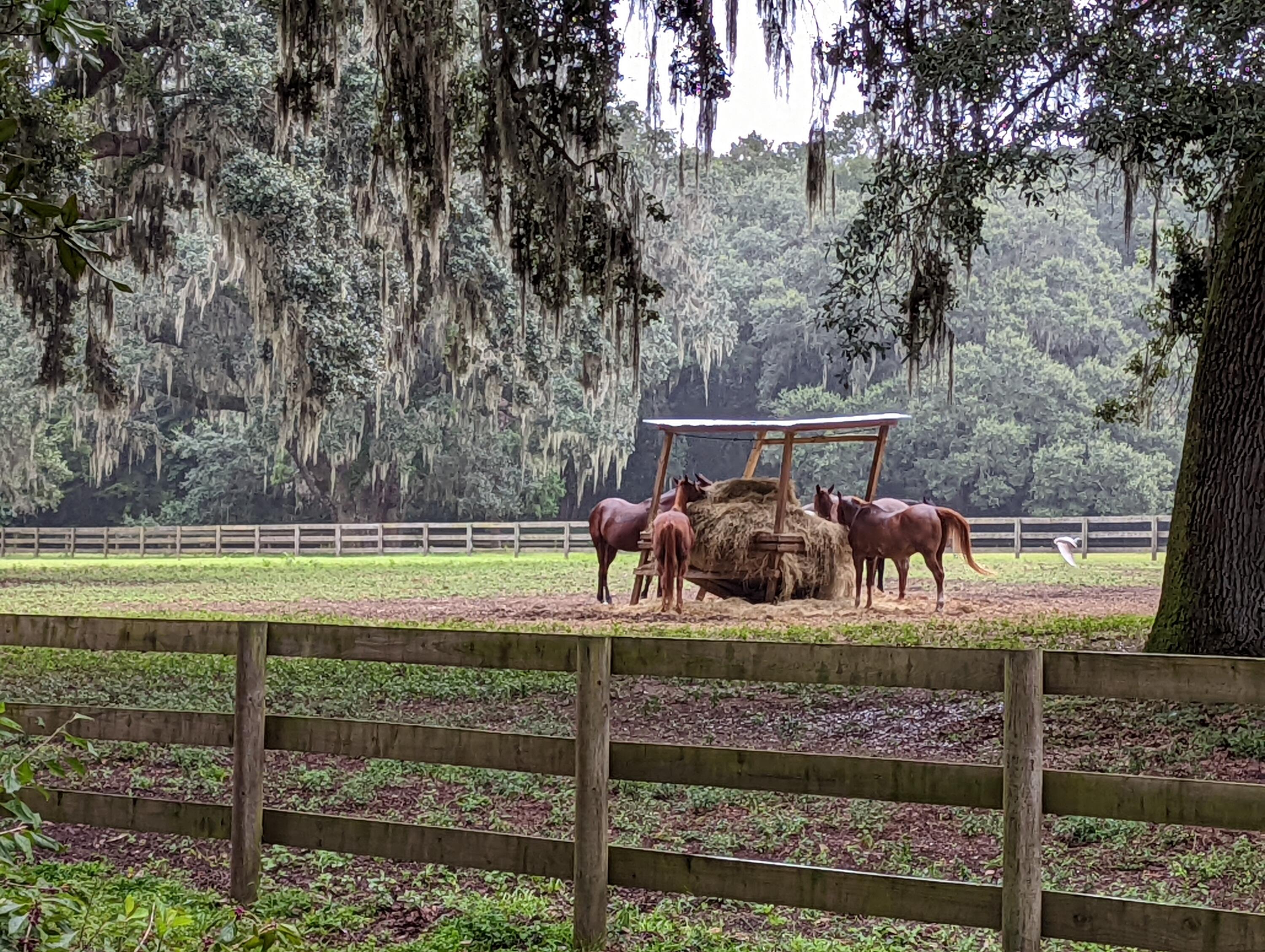 PXL_20220905_182407367