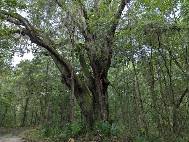 $214,000 | 21 Middleton Oaks Road, Charleston, SC 29414