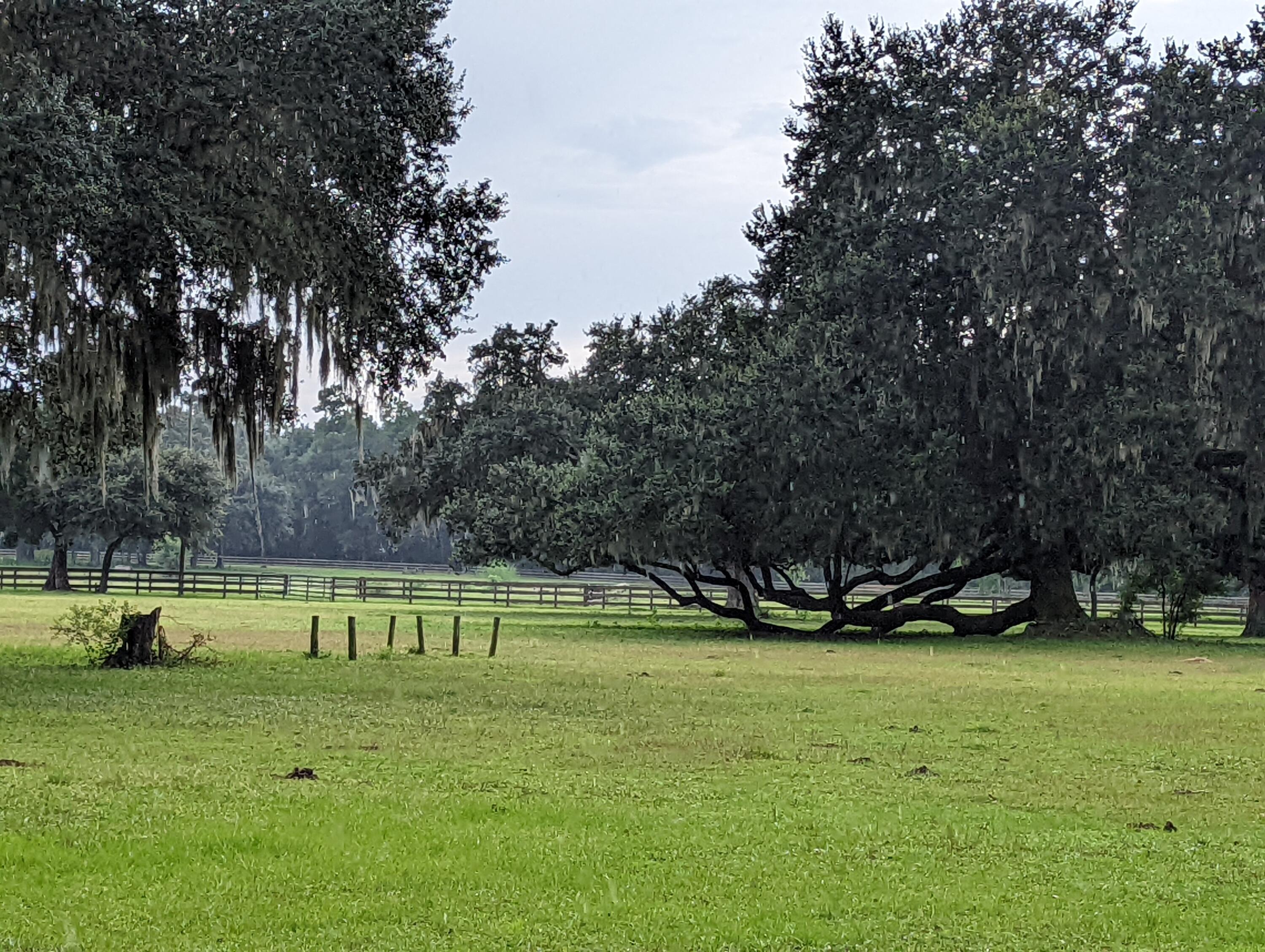 21 Middleton Oaks Road Charleston, SC 29414 - Photo 14 of 18 PXL_20220905_190235238
