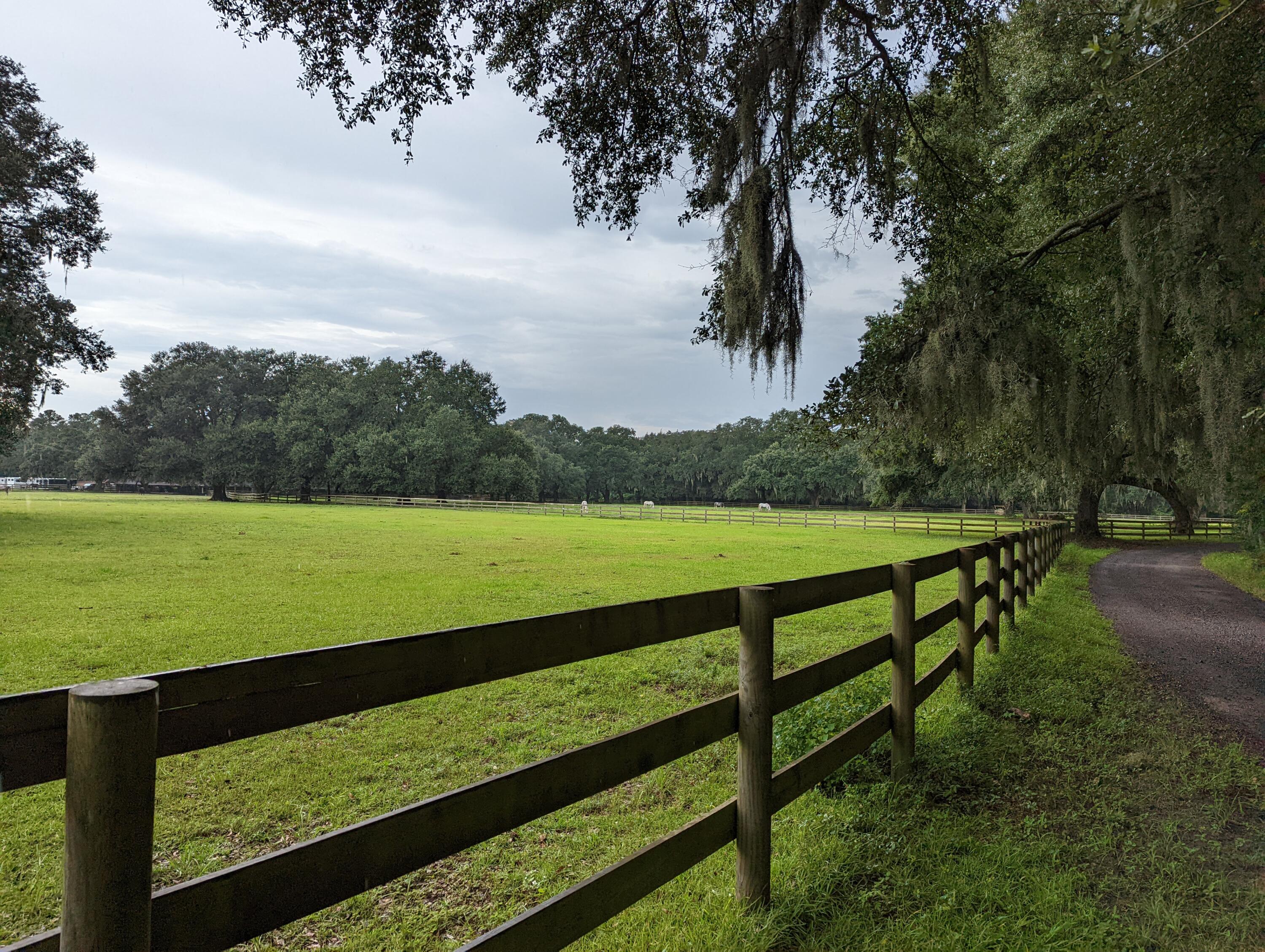 21 Middleton Oaks Road Charleston, SC 29414 - Photo 15 of 18 PXL_20220905_190226295