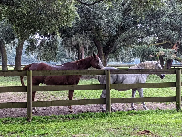 $214,000 | 21 Middleton Oaks Road, Charleston, SC 29414