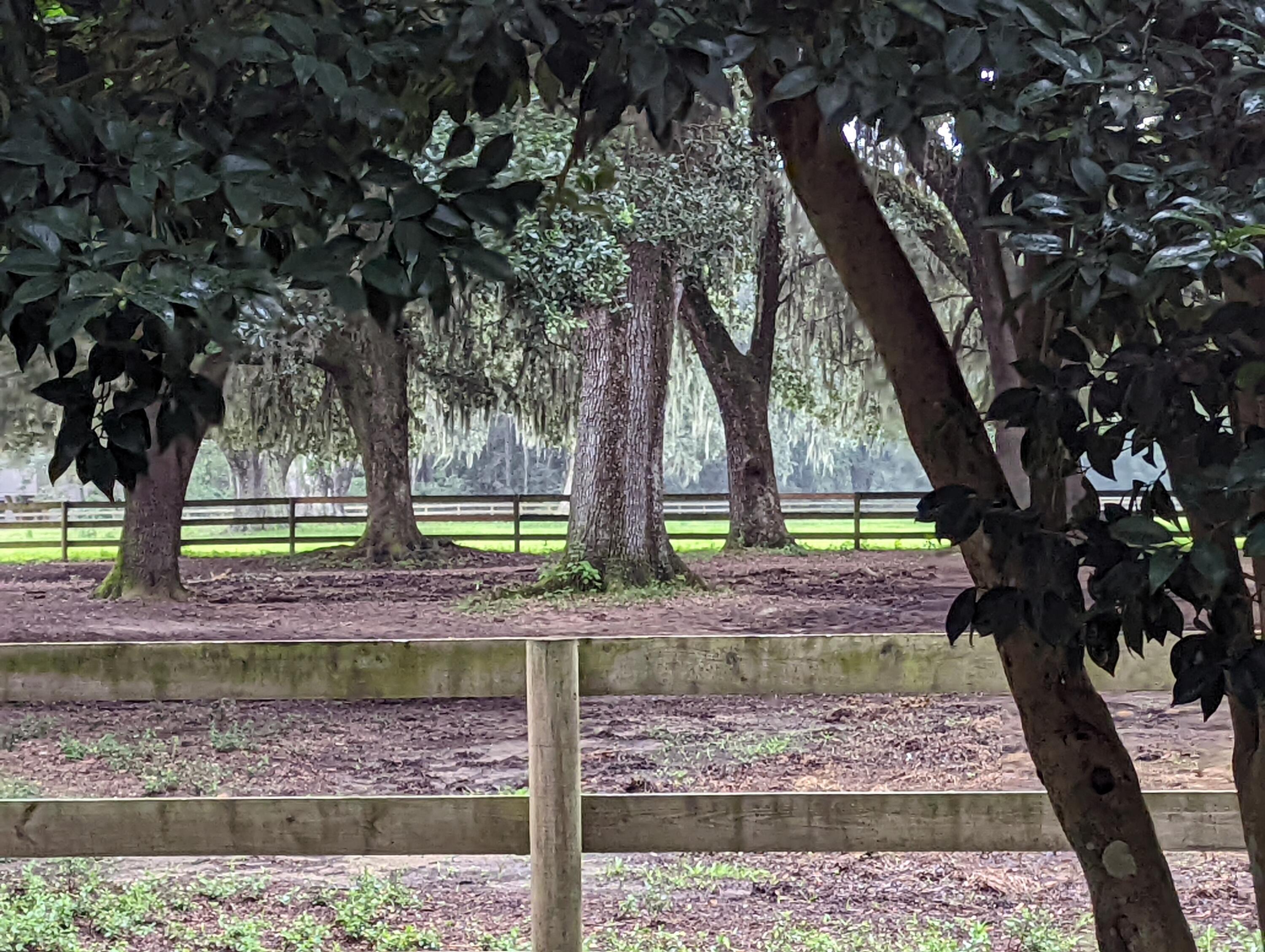 21 Middleton Oaks Road Charleston, SC 29414 - Photo 2 of 18 PXL_20220905_182411223 2