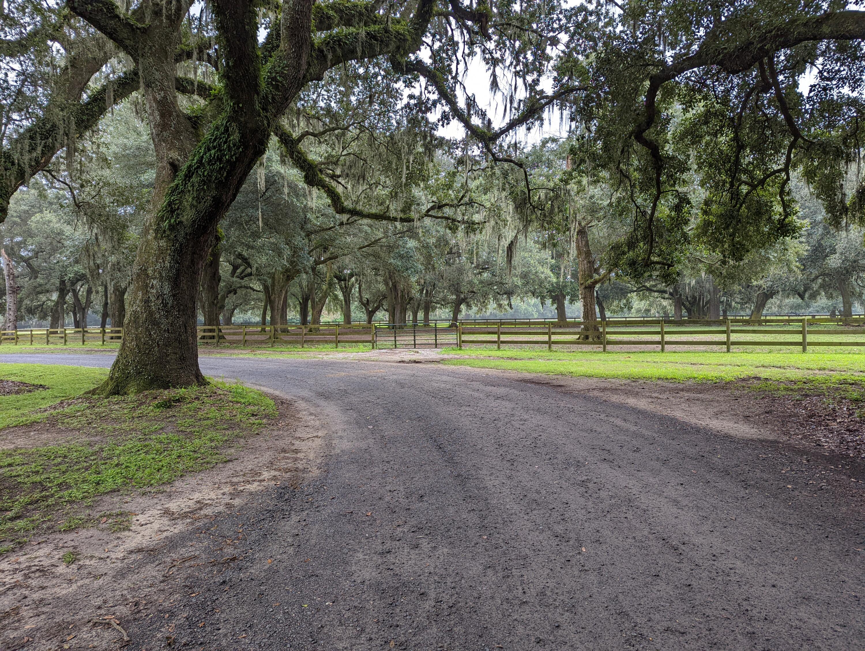 21 Middleton Oaks Road Charleston, SC 29414 - Photo 5 of 18 PXL_20220905_182323058
