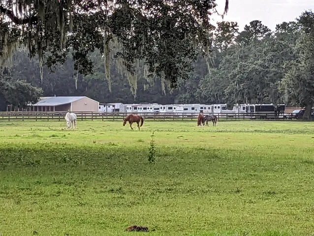 $214,000 | 21 Middleton Oaks Road, Charleston, SC 29414